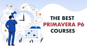 images ("Mastering Primavera P6 Training: Advanced Project Planning and Control"1)